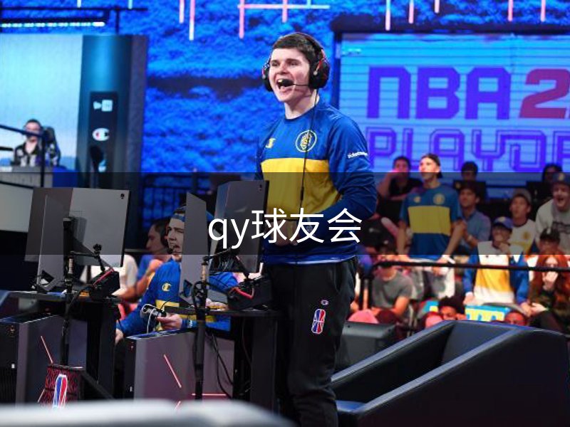 公司历程